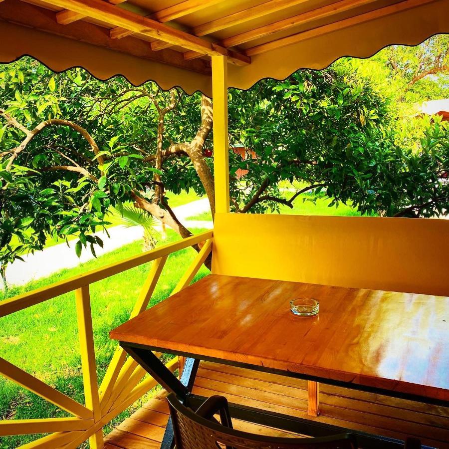 Kara Kedi Beach Bungalow Çıralı Dış mekan fotoğraf