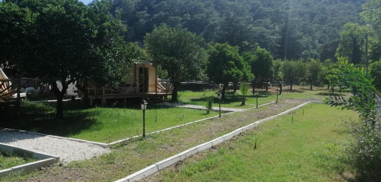 Kara Kedi Beach Bungalow Çıralı Dış mekan fotoğraf
