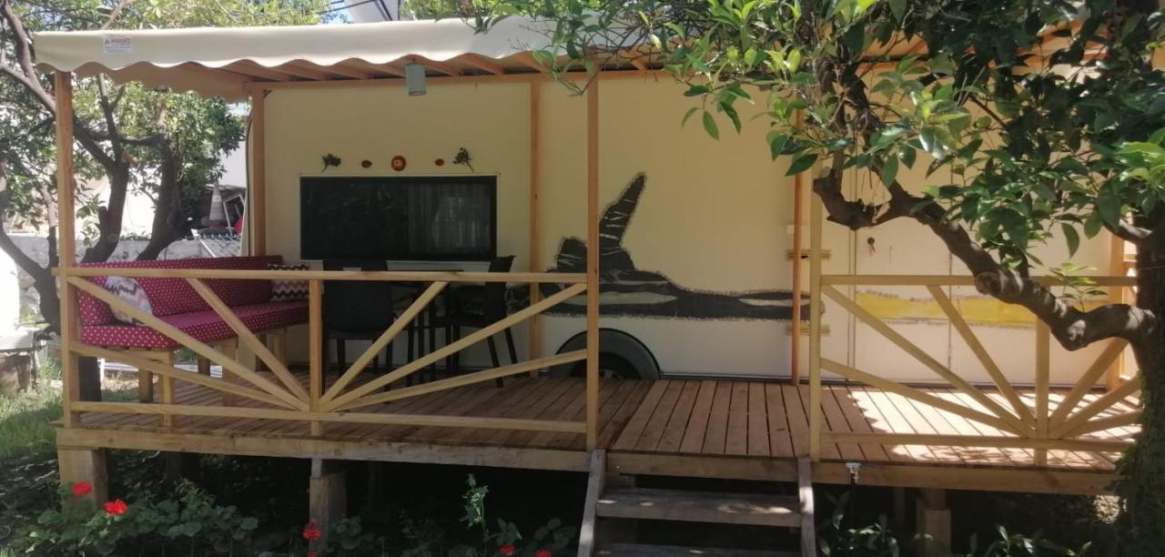 Kara Kedi Beach Bungalow Çıralı Dış mekan fotoğraf