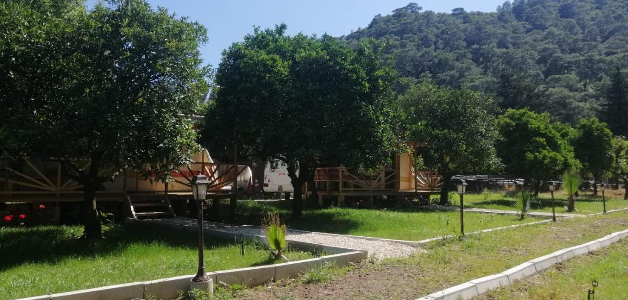 Kara Kedi Beach Bungalow Çıralı Dış mekan fotoğraf